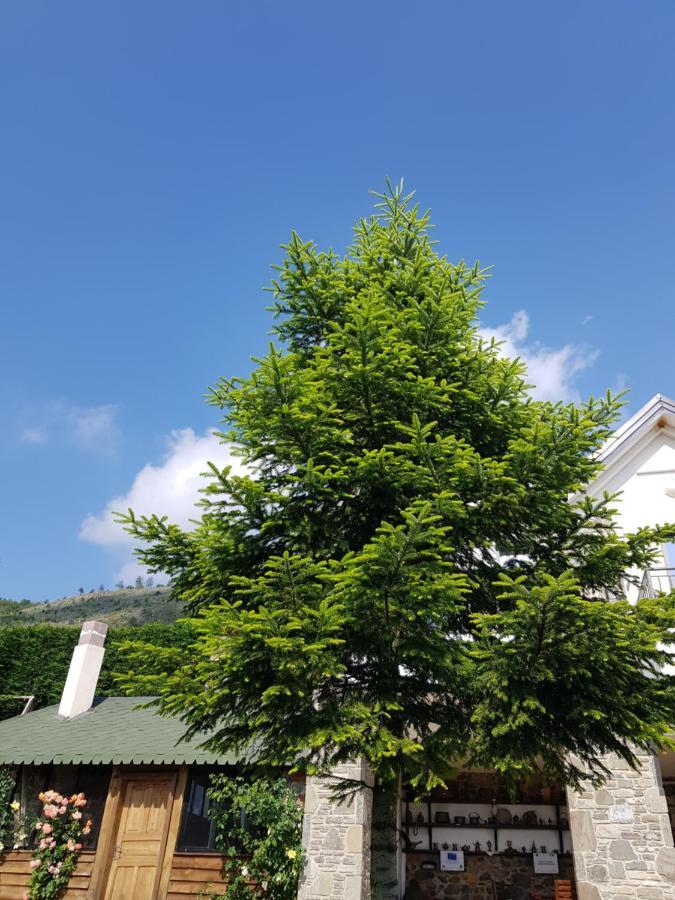 Sofra E Shpatit Hotel Elbasan