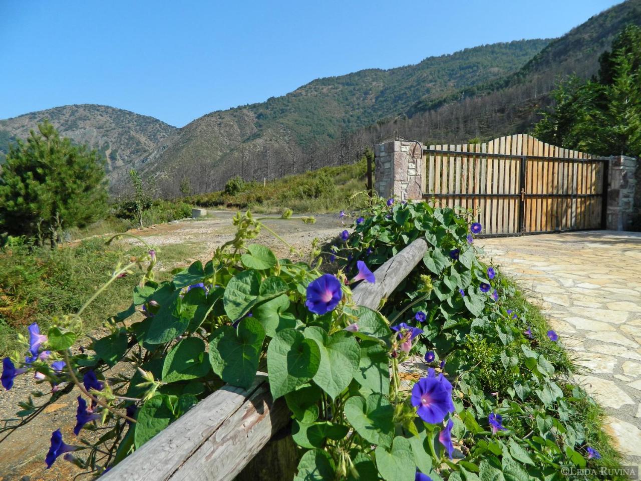Hotel Sofra E Shpatit Elbasan